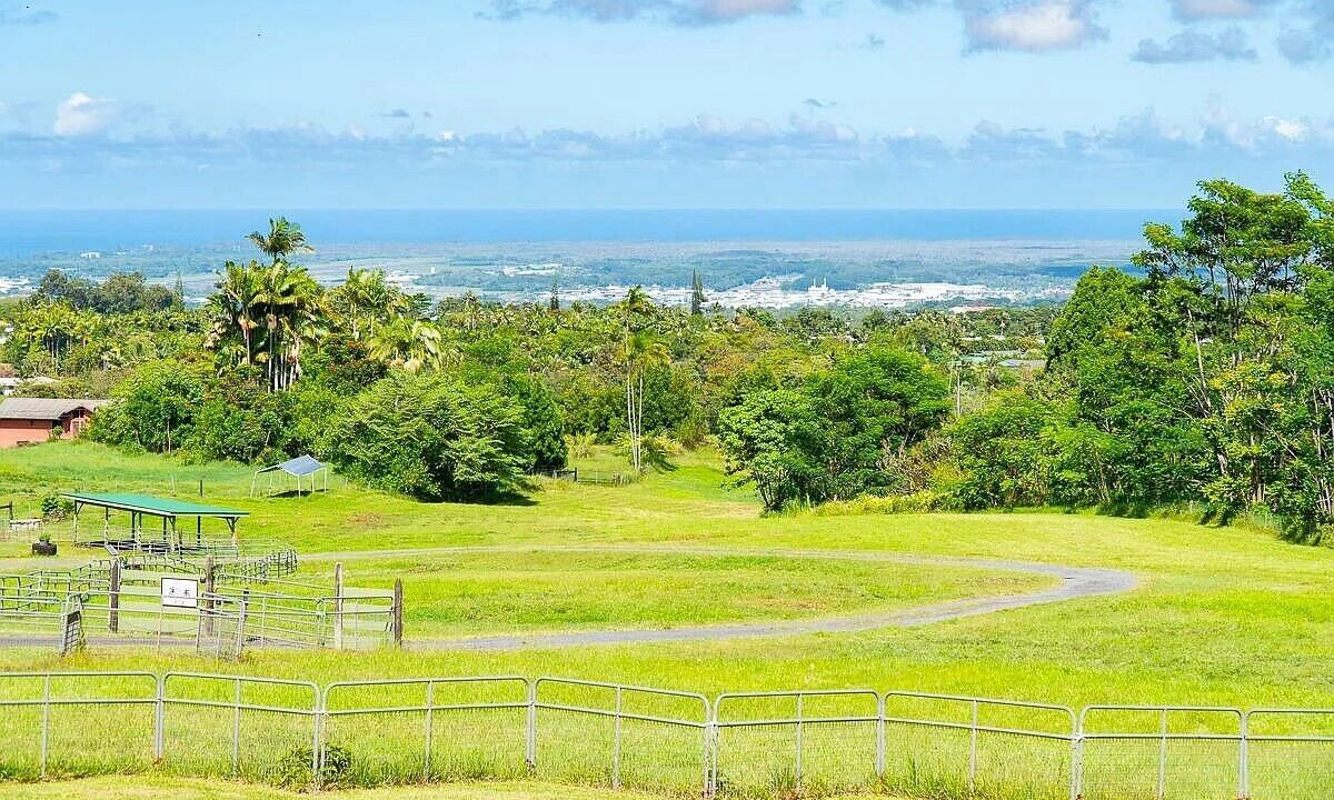 Photo of Others in Hilo