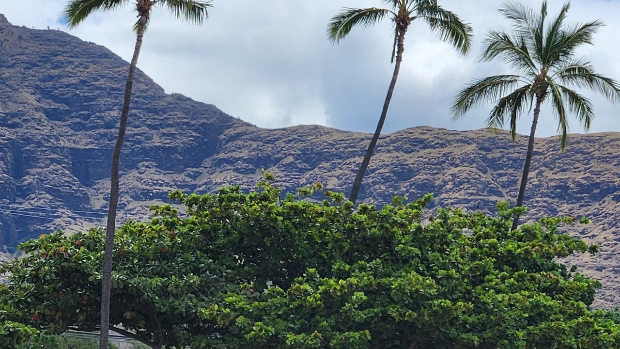 Photo of Outdoor in Makaha Valley