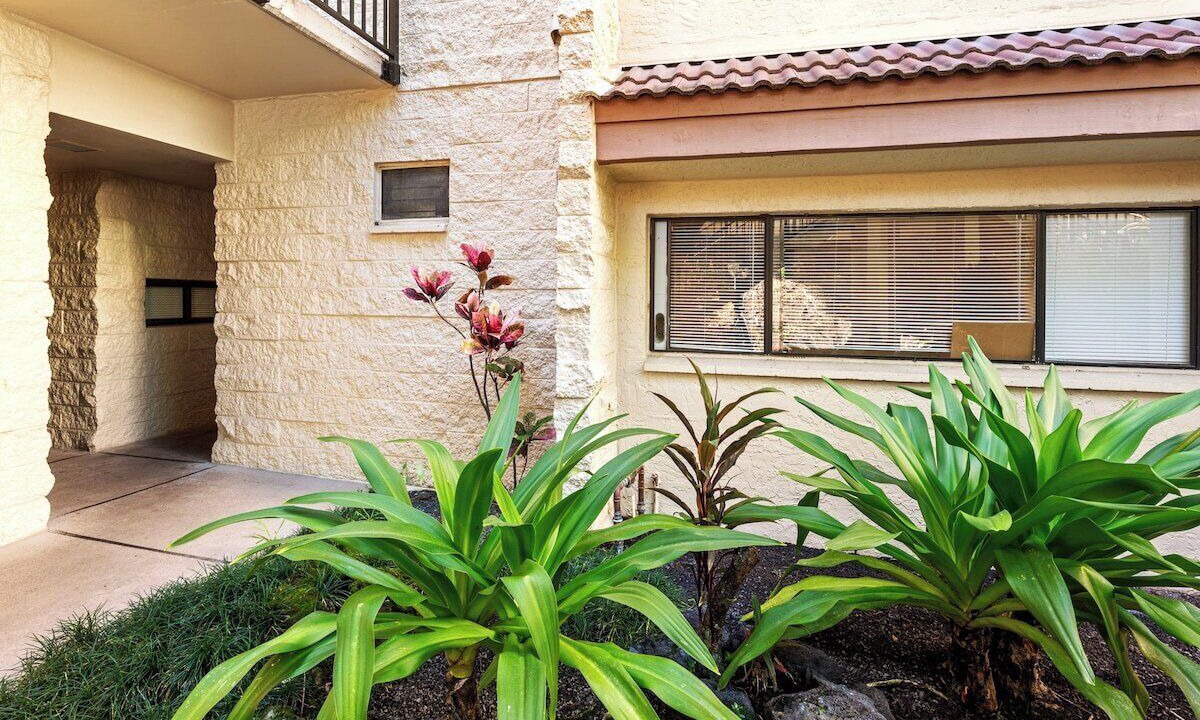 Photo of Outdoor in Keauhou