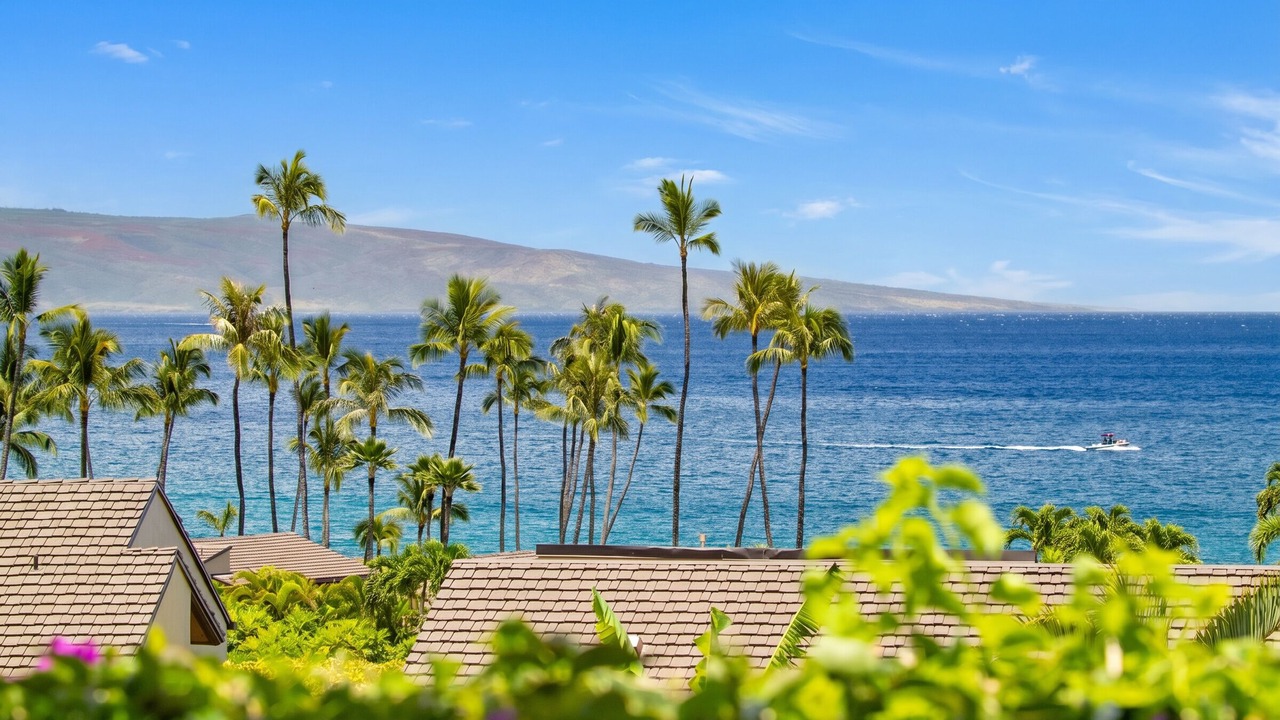 Photo of Others in Wailea