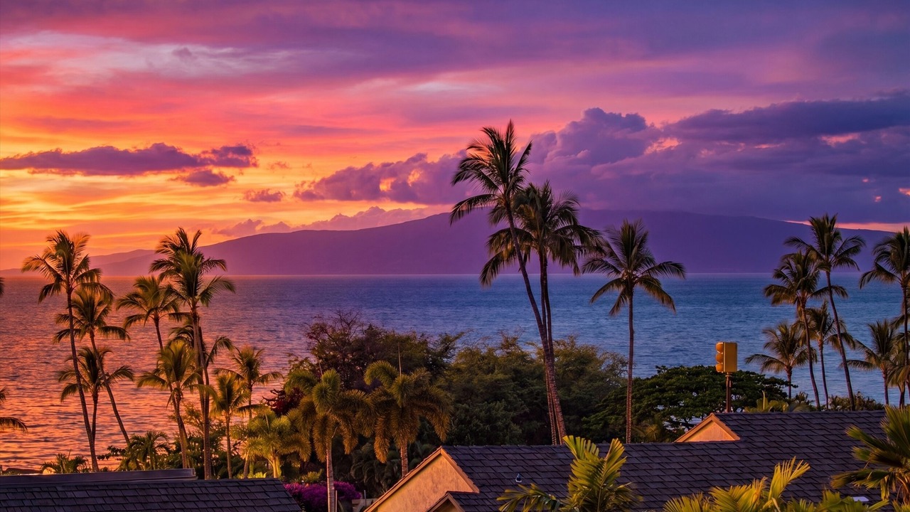 Photo of Others in Wailea