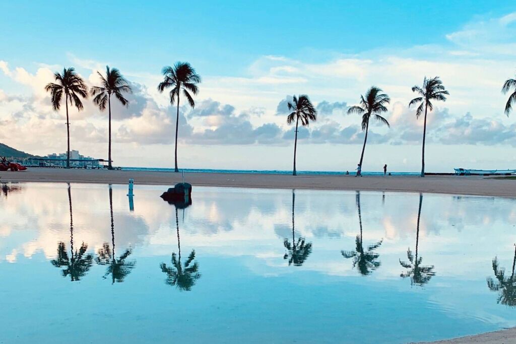 Photo of Others in Waikiki