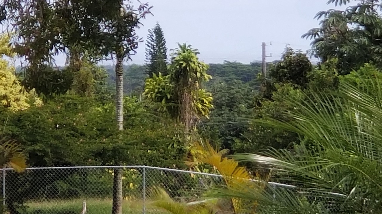 Photo of Outdoor in Keaau