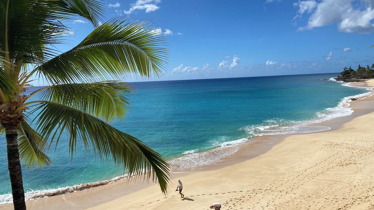 Photo of Others in Makaha