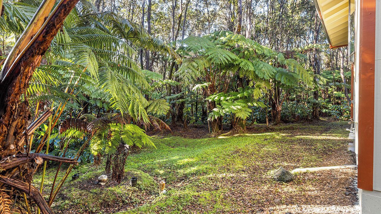Photo of Outdoor in Volcano