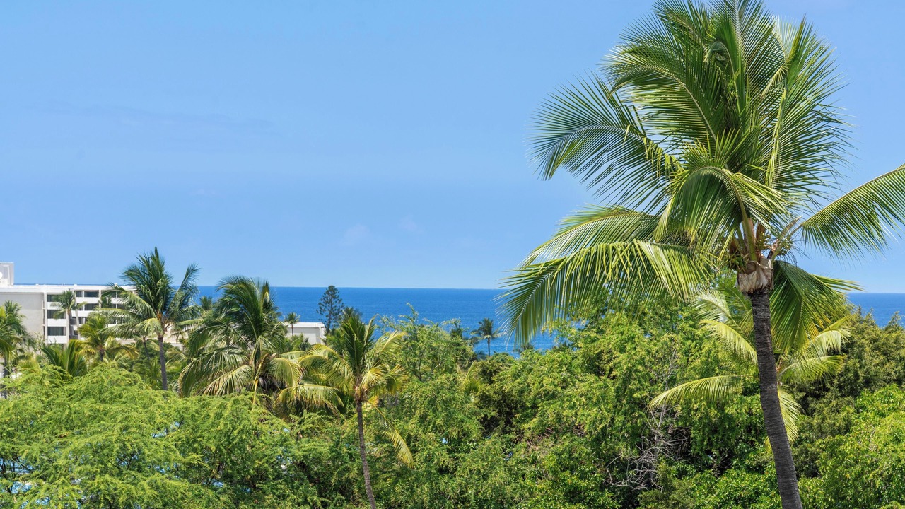 Photo of Others in Keauhou
