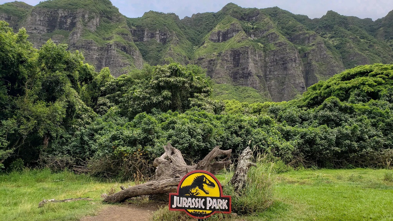 Photo of Others in Laie