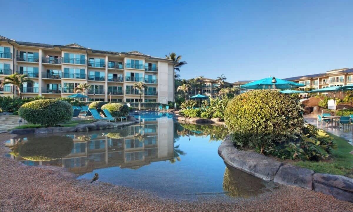 Photo of Outdoor in Wailua