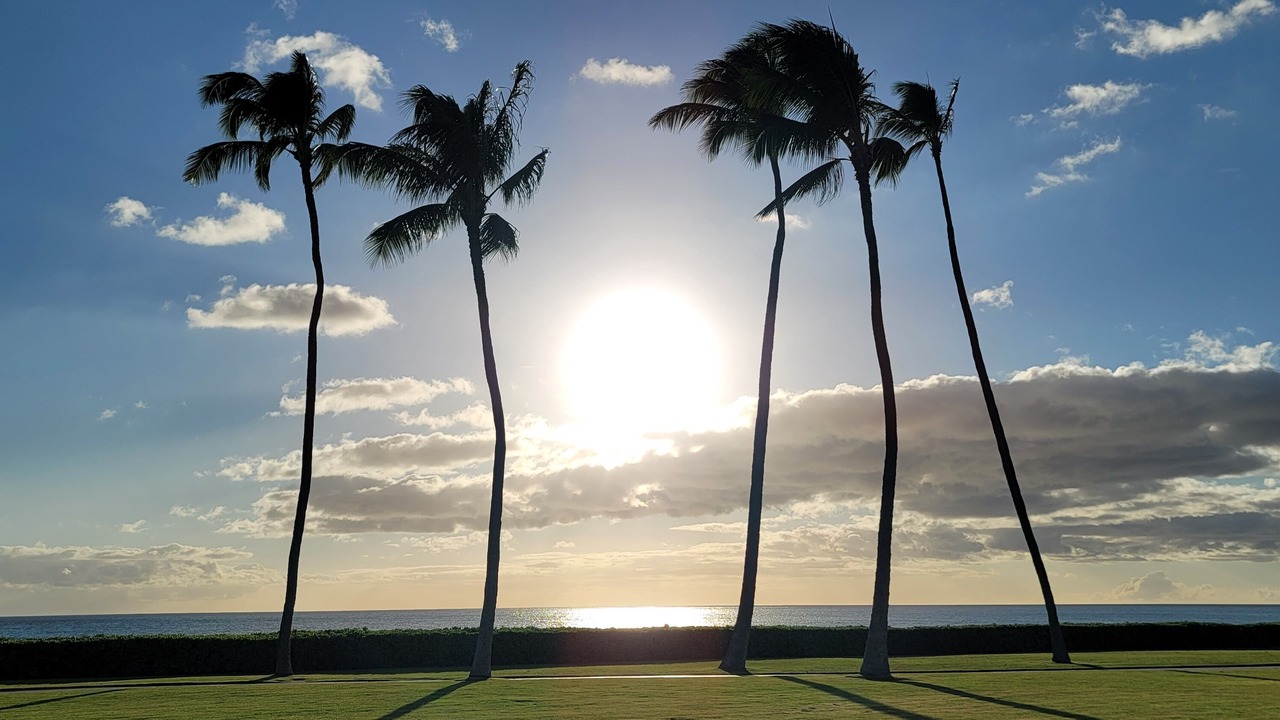 Photo of Others in Kapolei