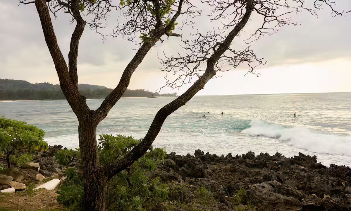 Photo of Others in Kahuku