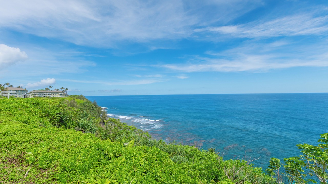 Photo of Others in Princeville