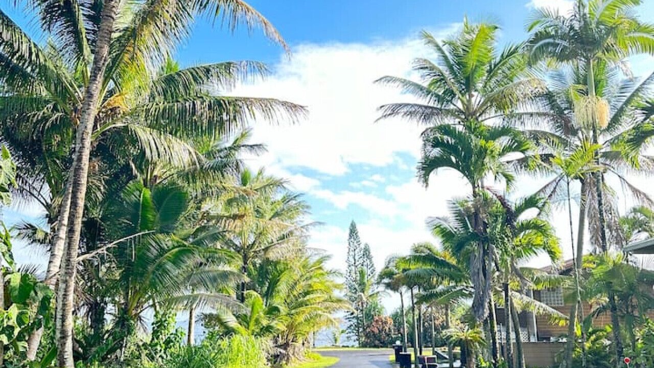 Photo of Others in Kapoho
