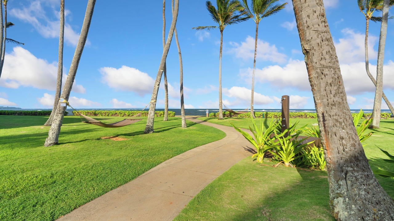 Photo of Others in Kapaa