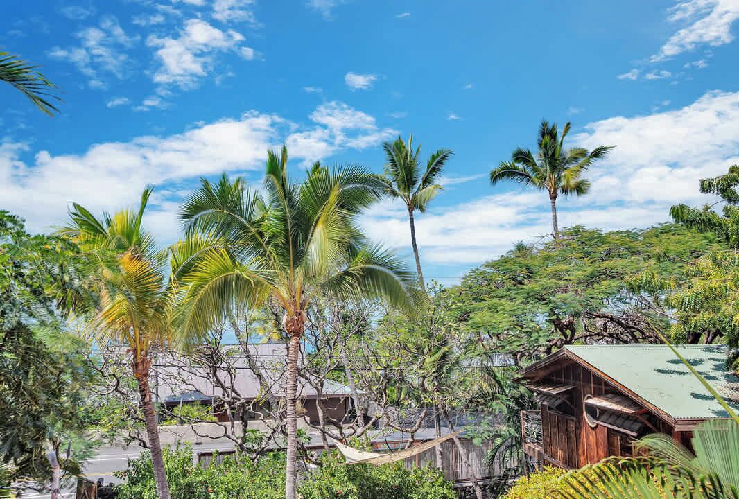 Photo of Others in Kahaluu Bay