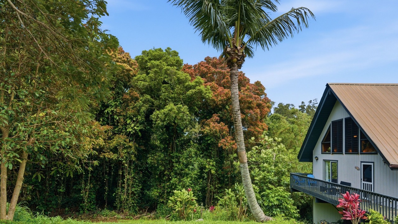 Photo of Outdoor in Hawi