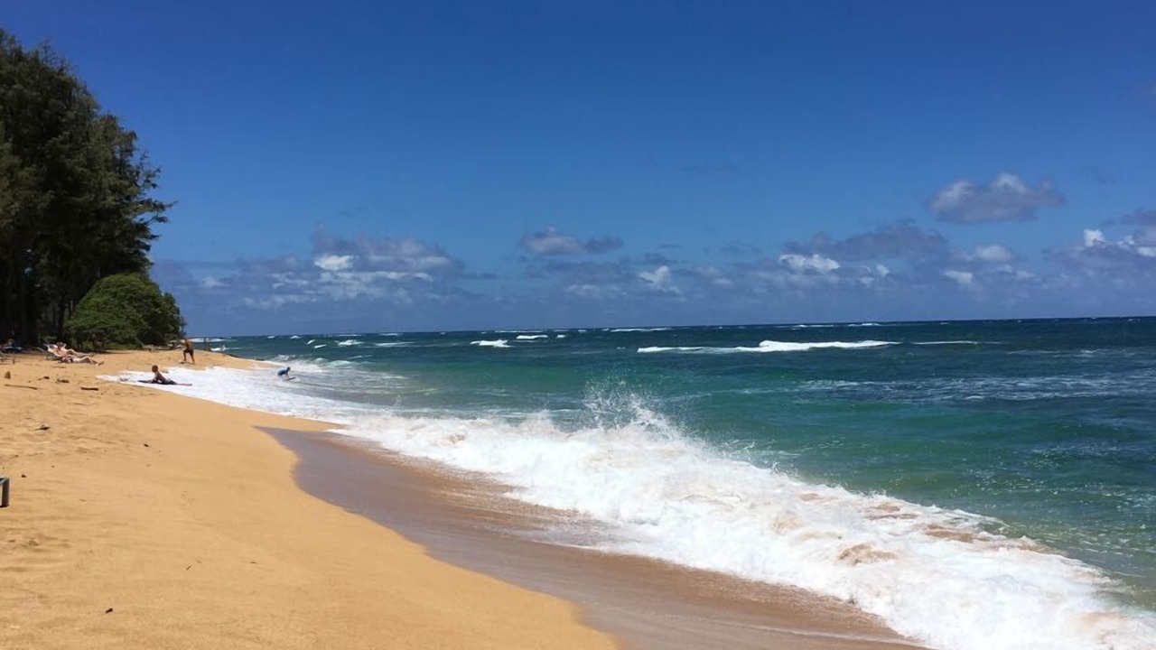 Photo of Others in Wailua