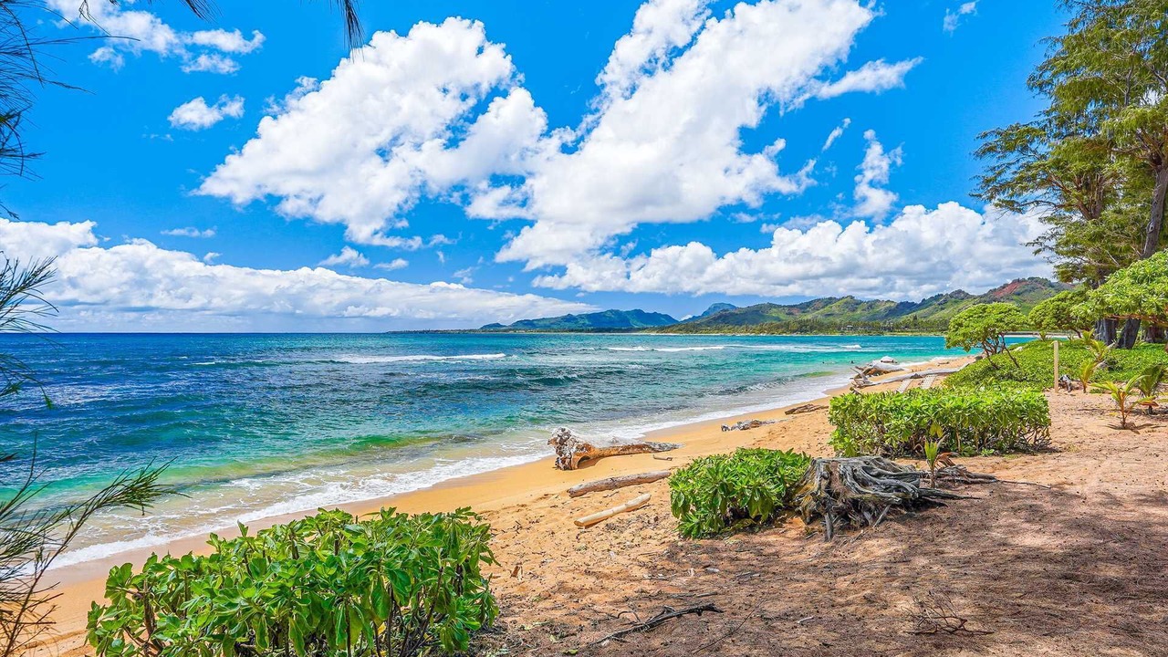 Photo of Others in Wailua
