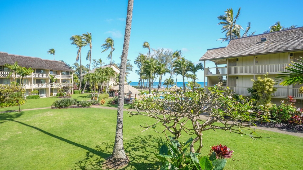 Photo of Outdoor in Wailua