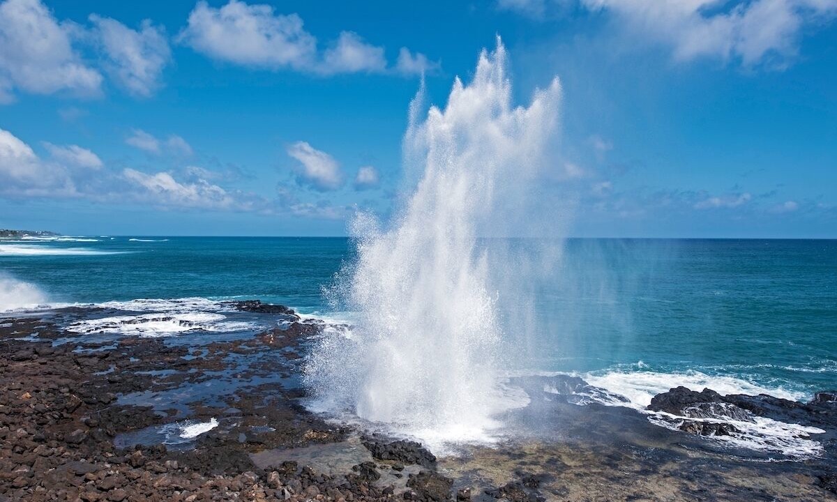Photo of Others in Poipu