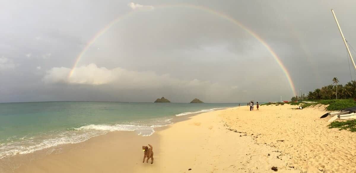 Photo of Others in Lanikai
