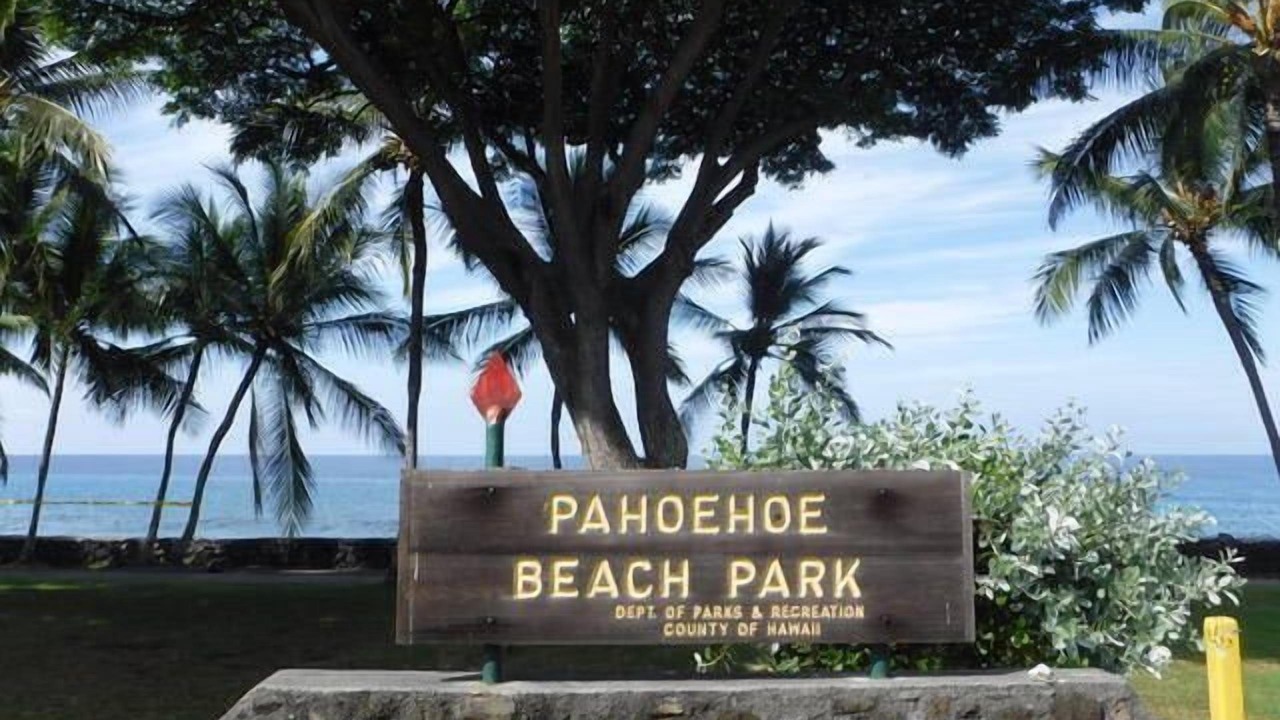 Photo of Others in Kahaluu Bay