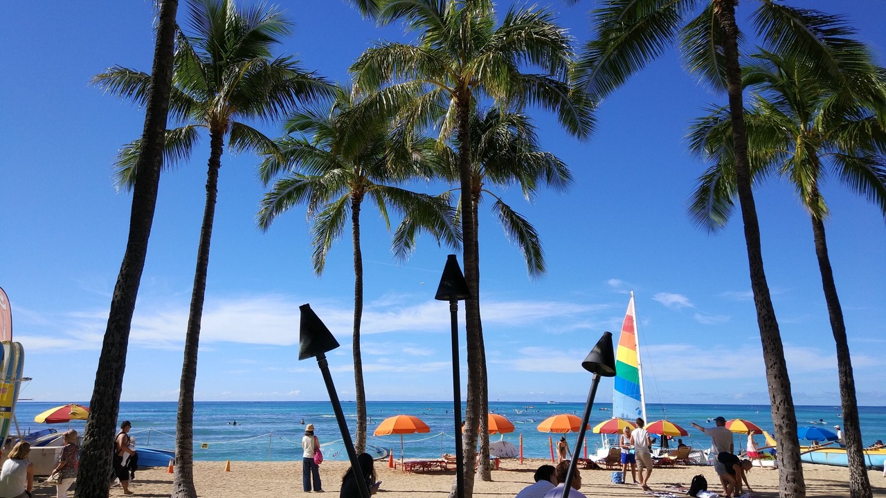Photo of Others in Waikiki