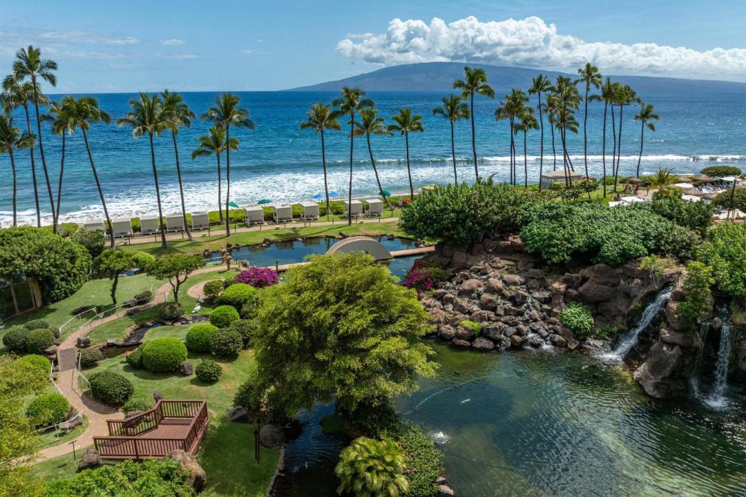 Photo of Others in Kaanapali
