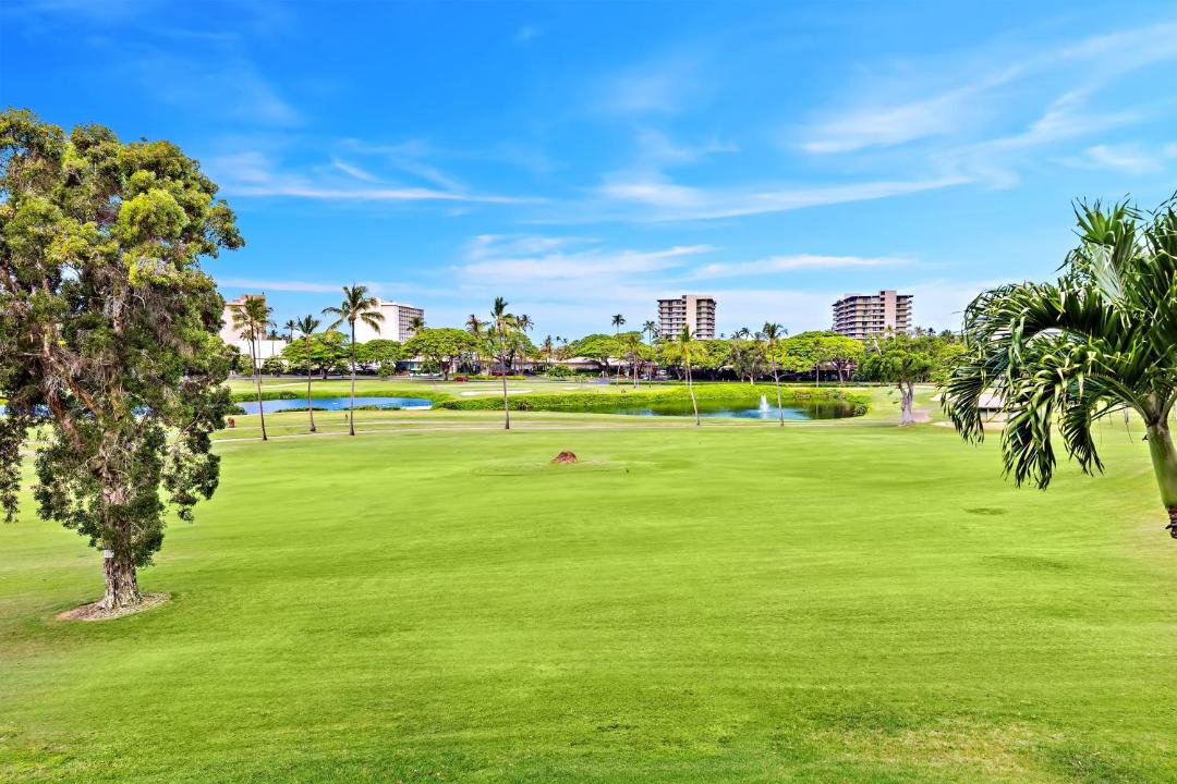 Photo of Others in Kaanapali