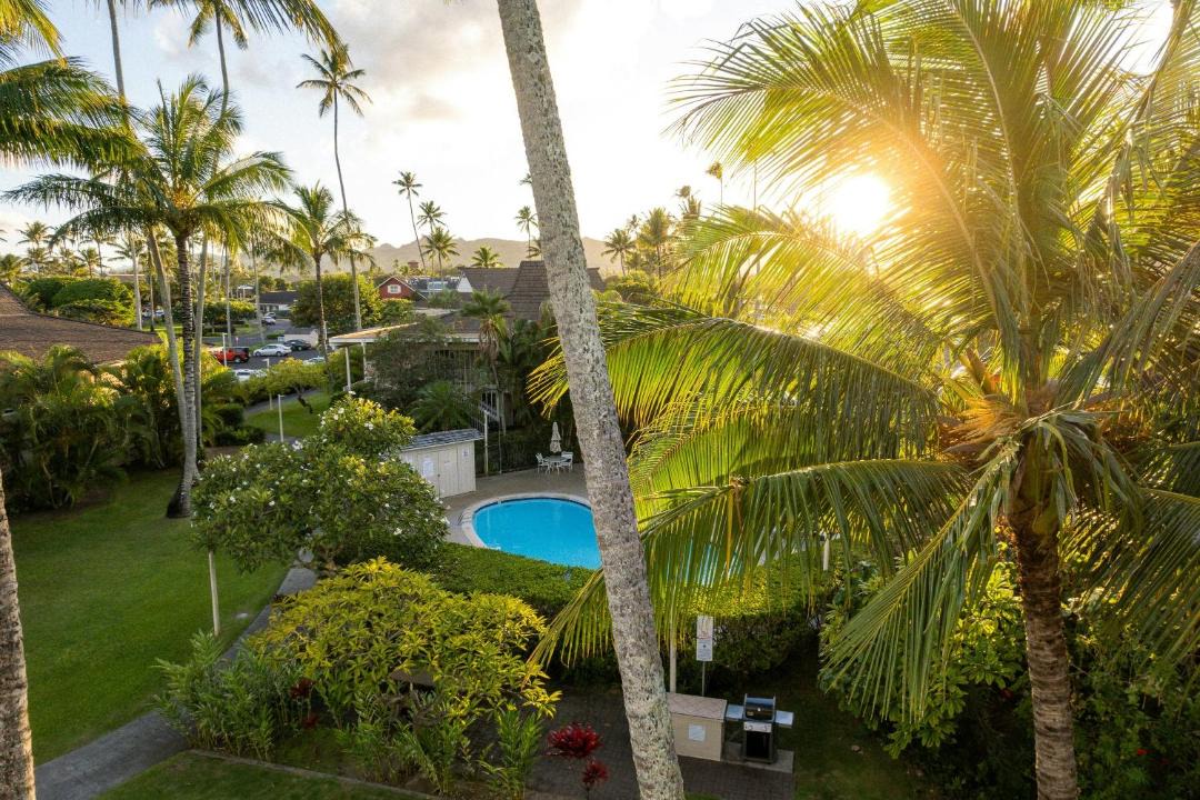 Photo of Others in Wailua