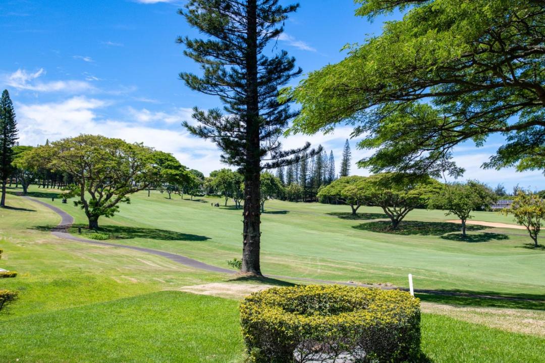 Photo of Others in Kapalua