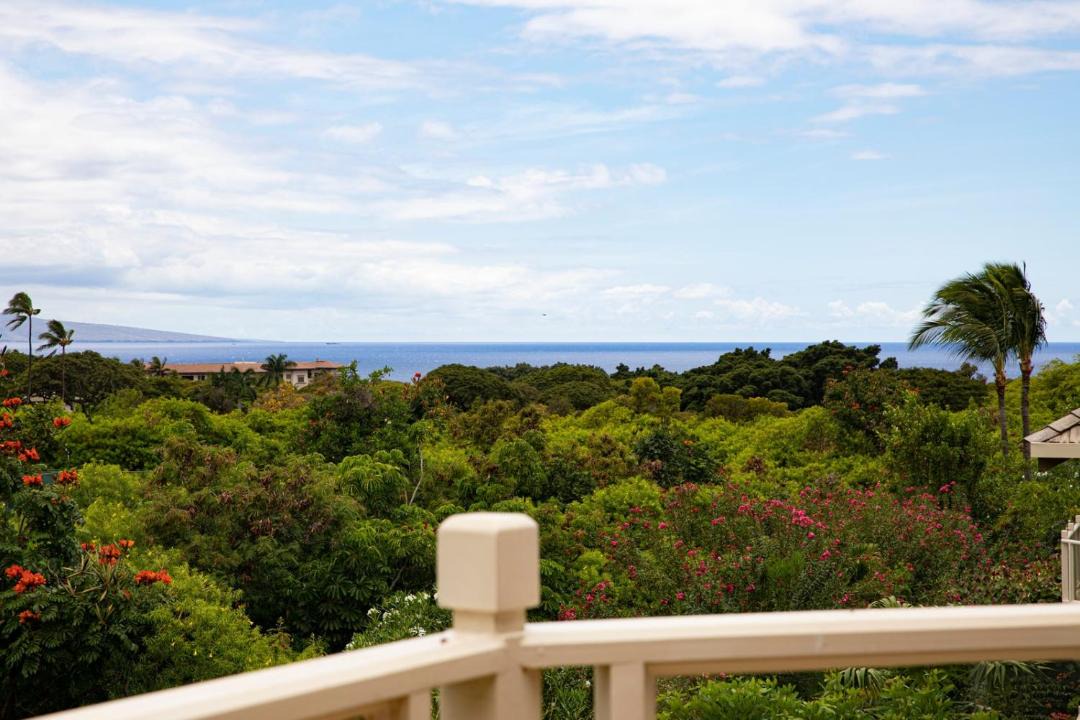 Photo of Others in Wailea