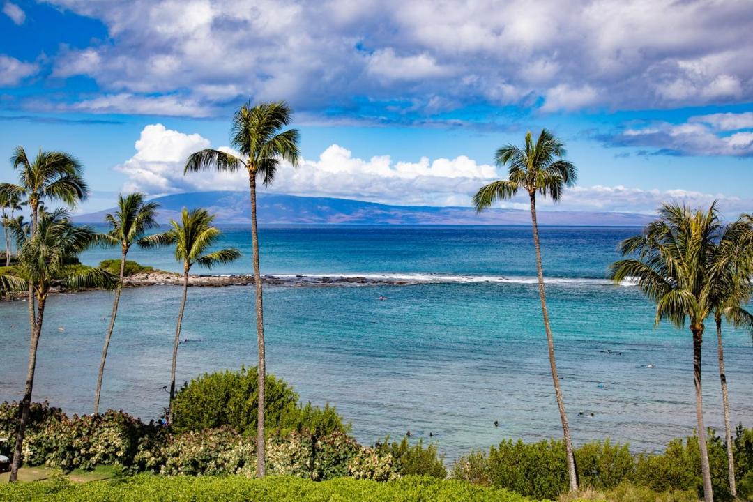 Photo of Others in Montage Kapalua Bay
