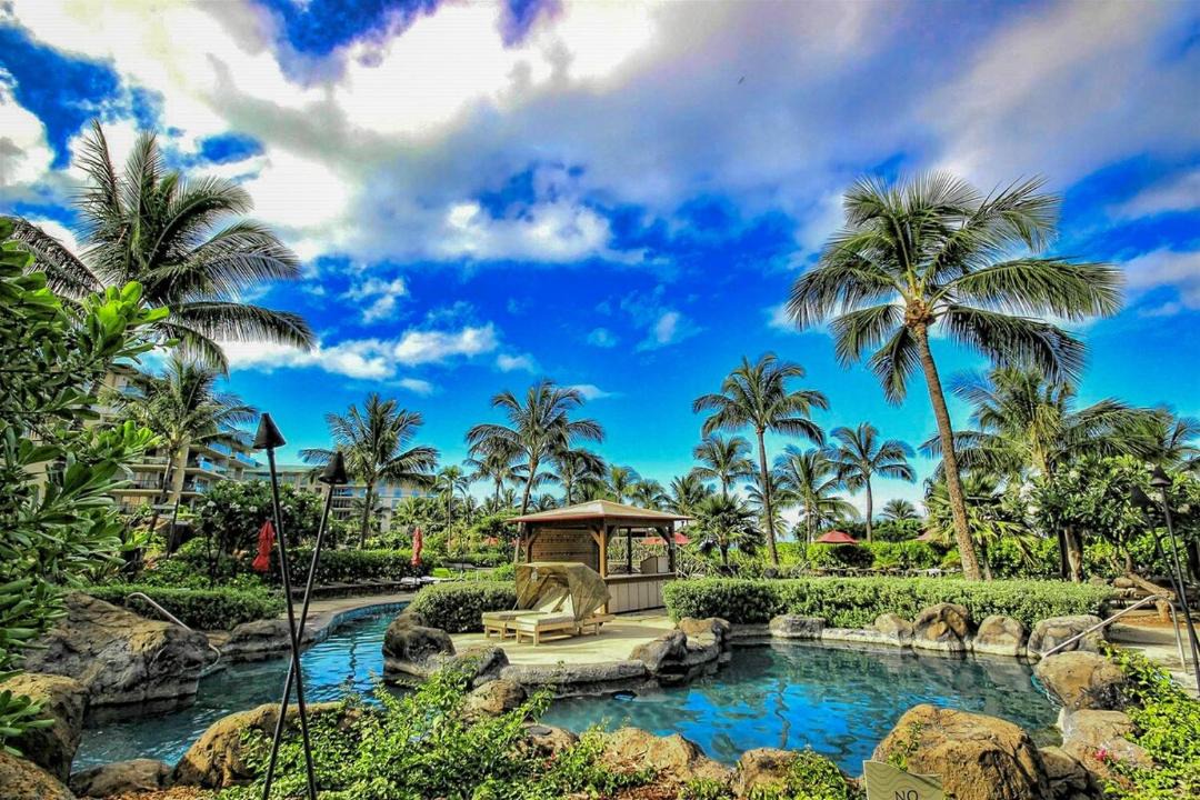 Photo of Others in Kaanapali