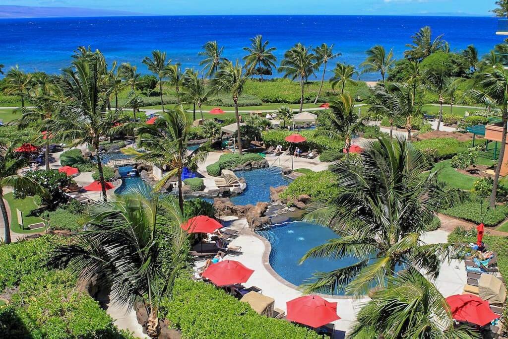 Photo of Others in Kaanapali