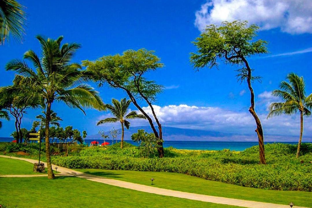 Photo of Others in Kaanapali