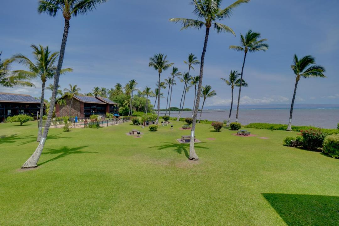 Photo of Others in Kaunakakai