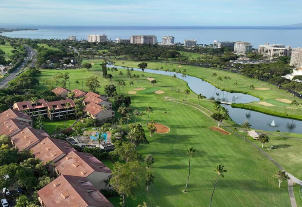 Photo of Others in Kaanapali