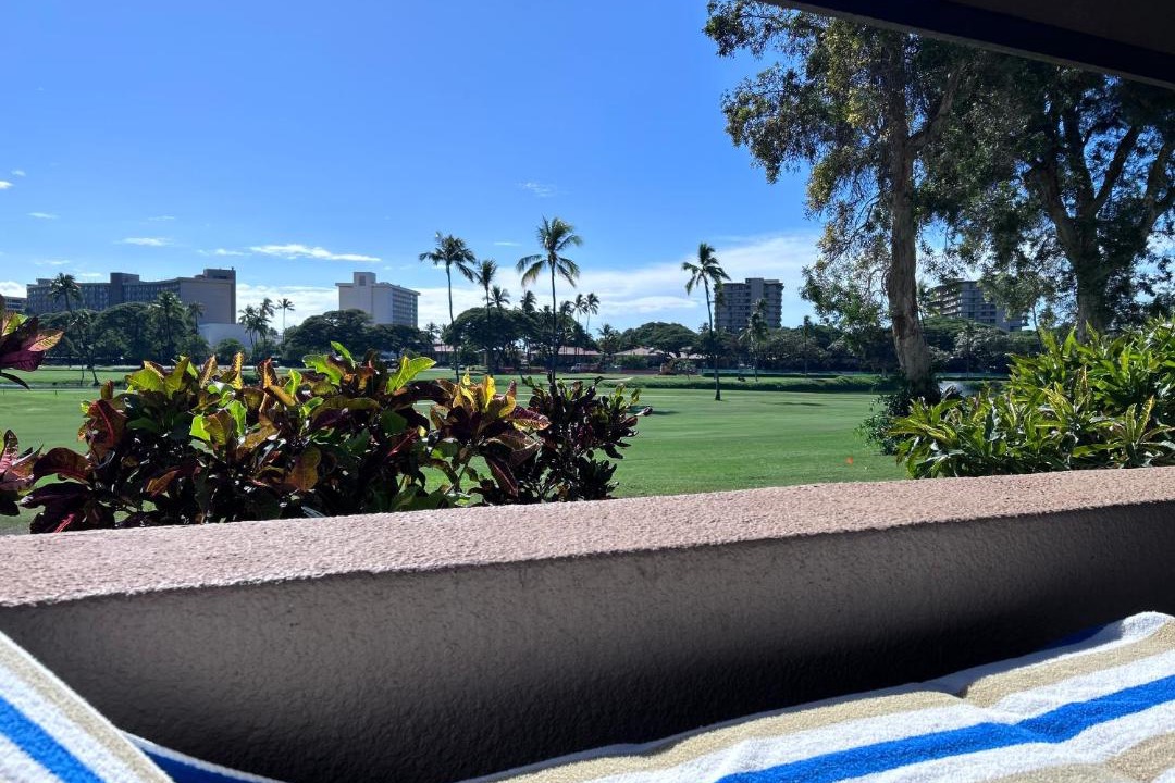 Photo of Others in Kaanapali