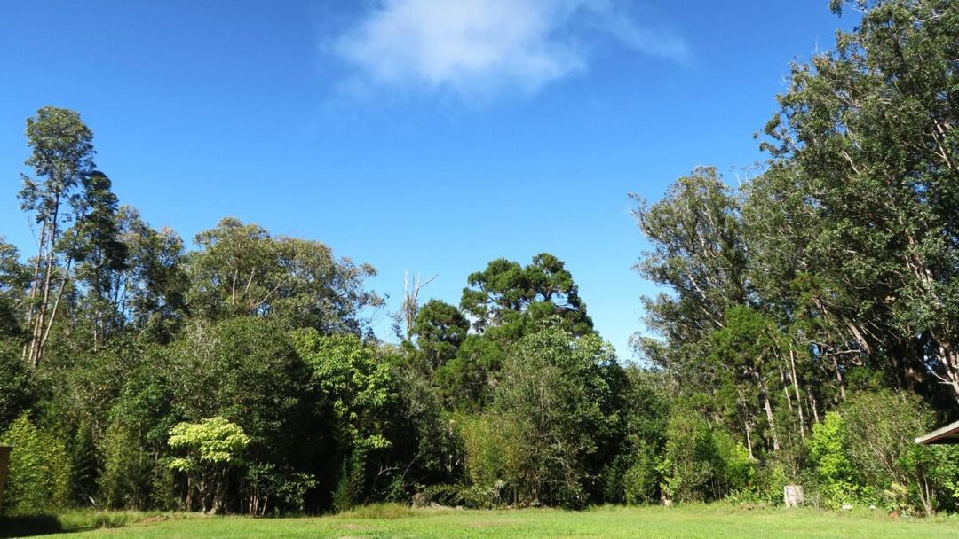 Photo of Outdoor in Honokaa