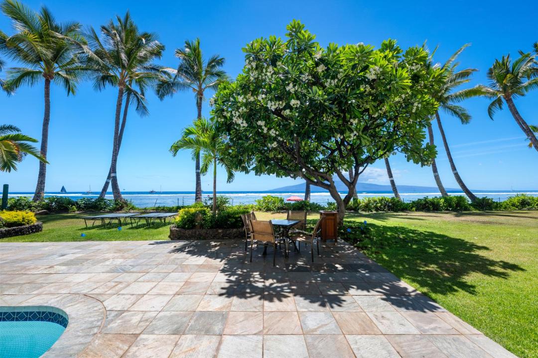 Photo of Others in Historic Lahaina Front Street
