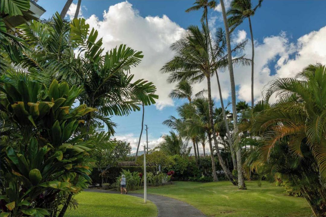 Photo of Others in Wailua