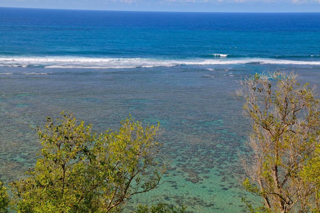 Photo of Others in Princeville