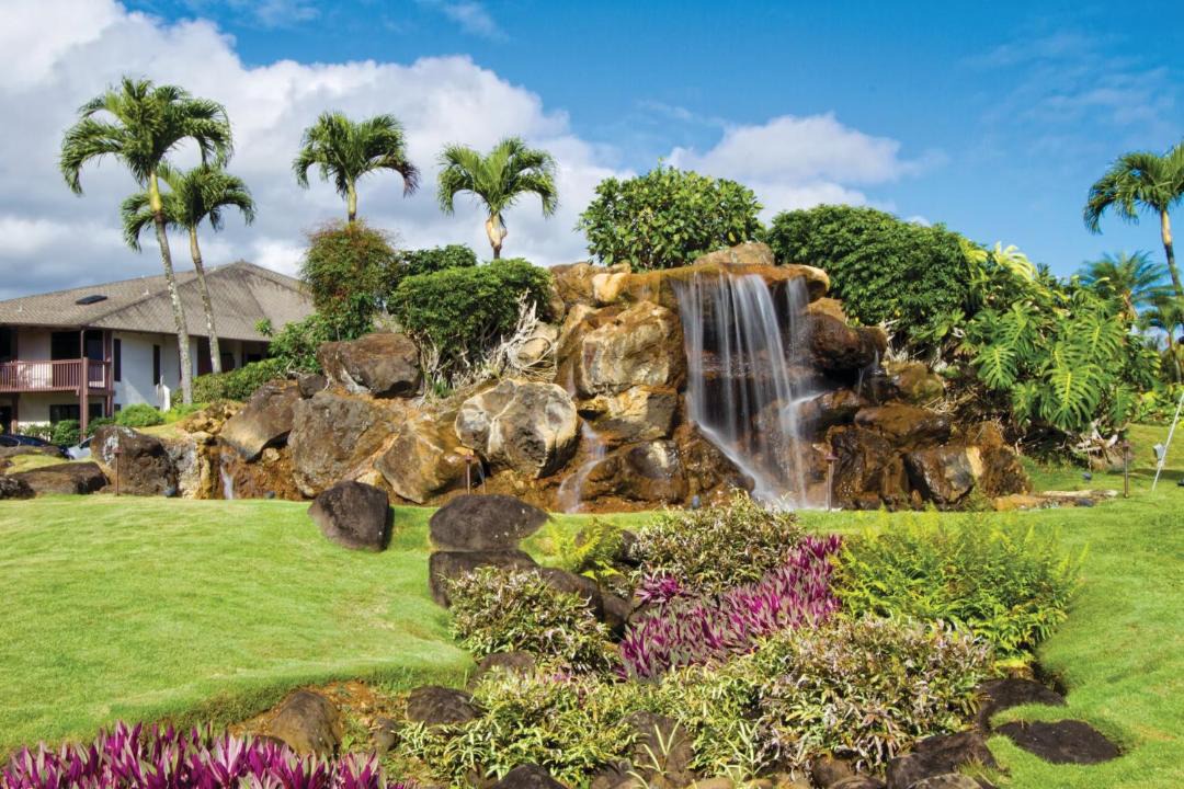 Photo of Others in Princeville