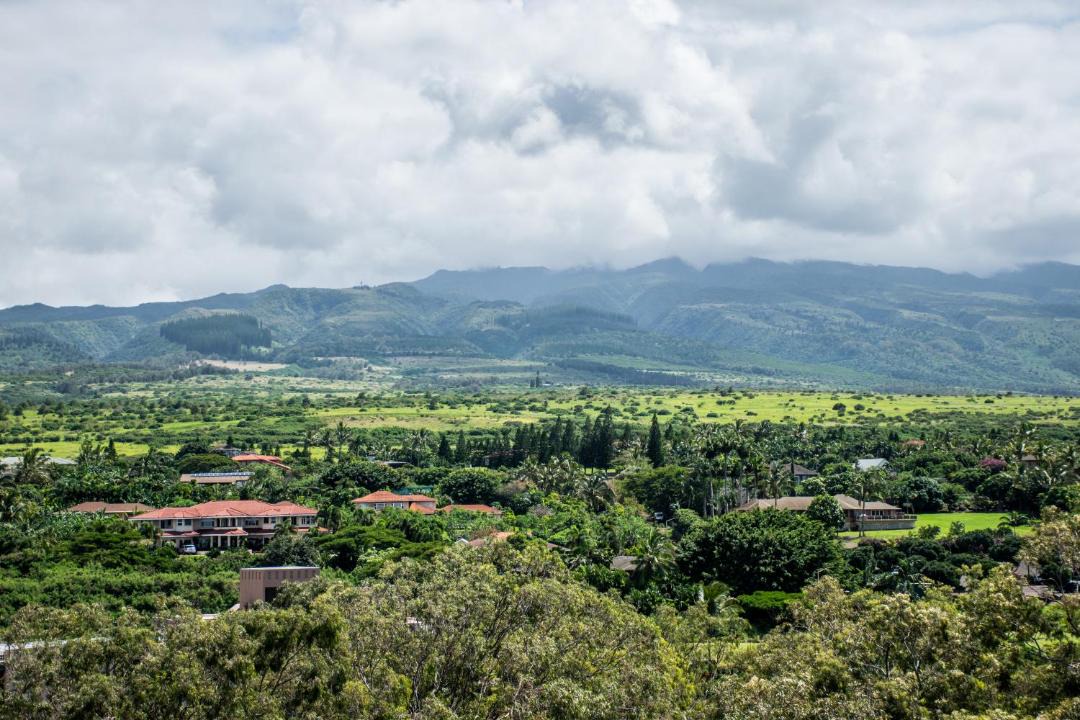Photo of Others in Kahana