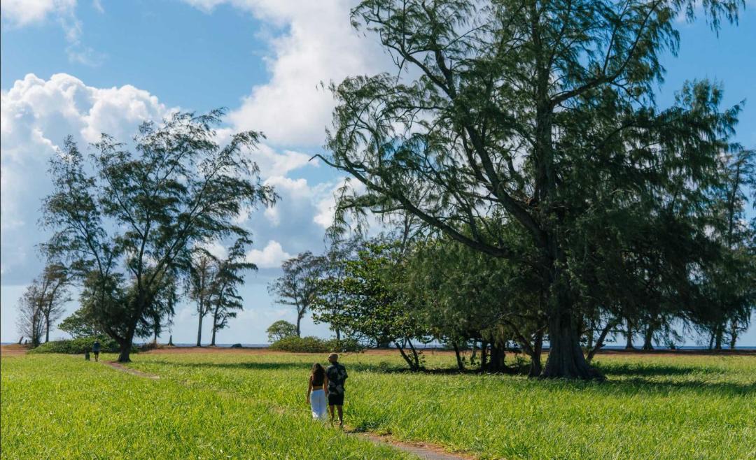 Photo of Others in Wailua