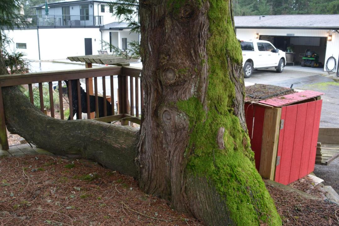 Photo of Others in North Creek