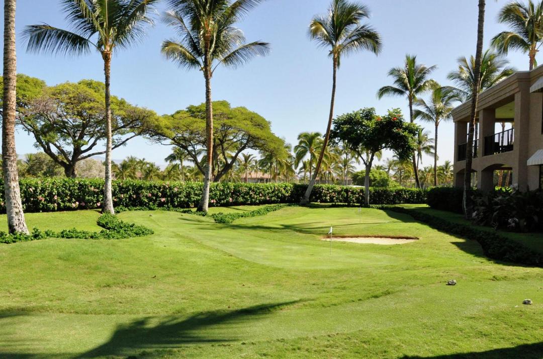 Photo of Others in Waikoloa