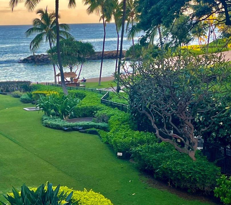 Photo of Others in Ko Olina