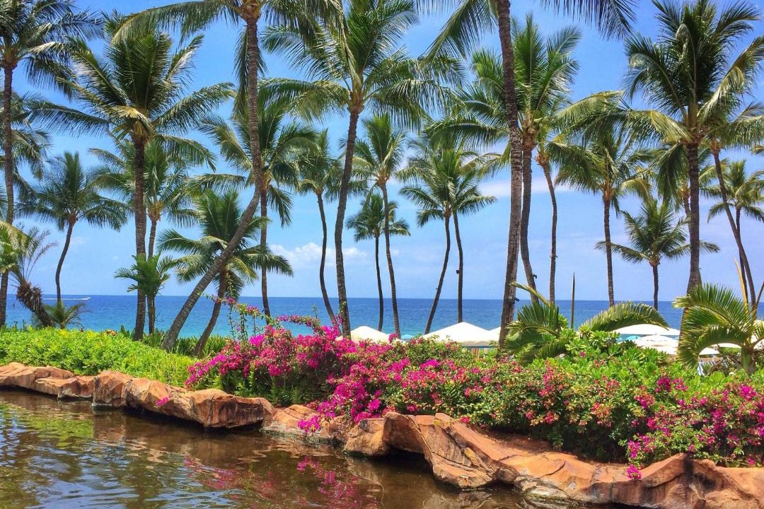 Photo of Others in Wailea