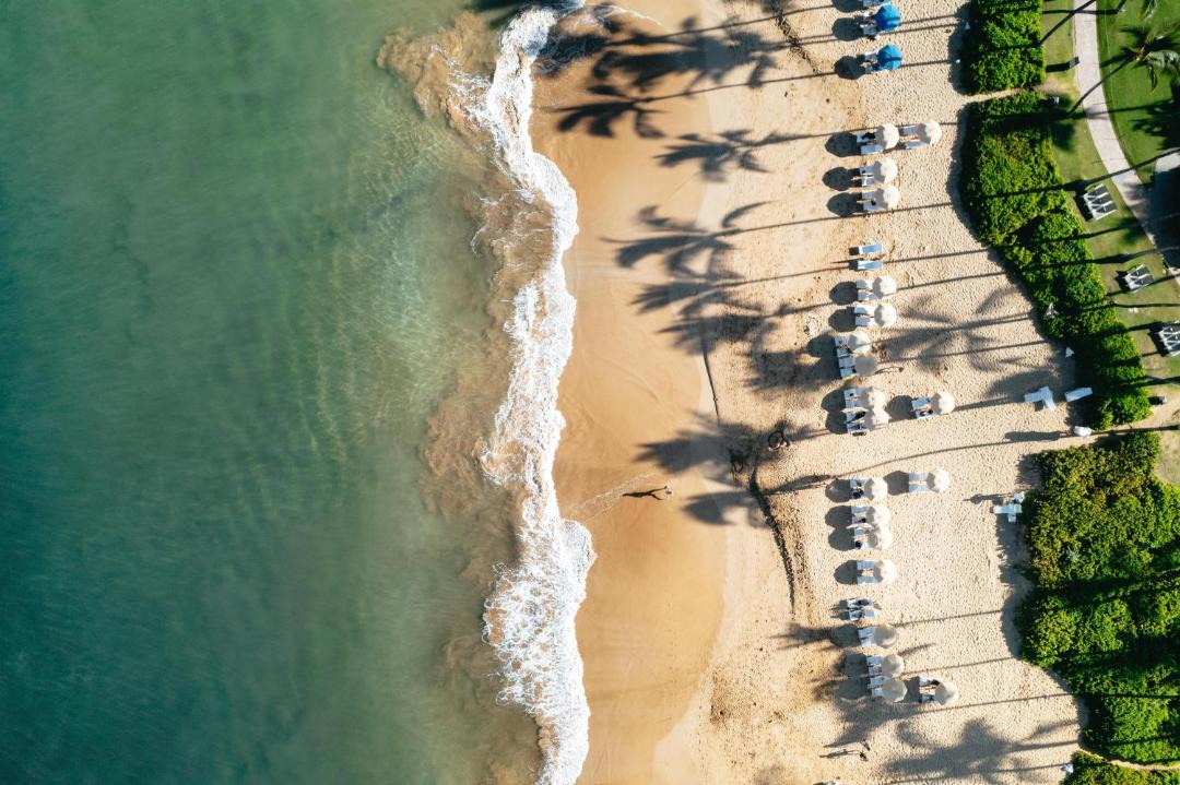 Photo of Others in Wailea